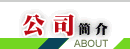 公司简介
